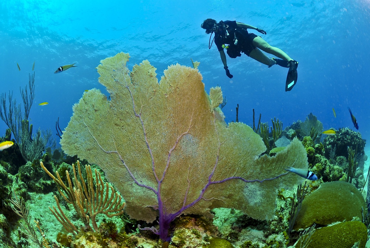 Top 10 diving sites in Sharm El Sheikh, Egypt