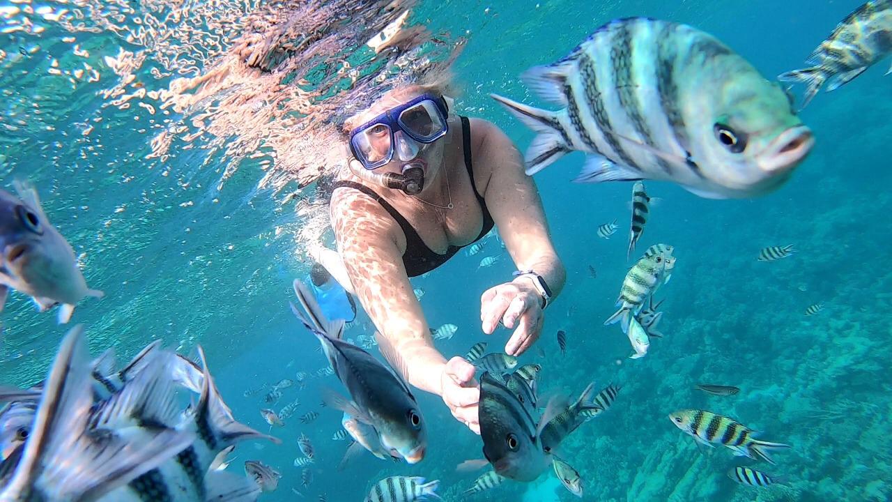 El Gouna: Half Day Snorkeling tour to Dolphin House with Refreshments