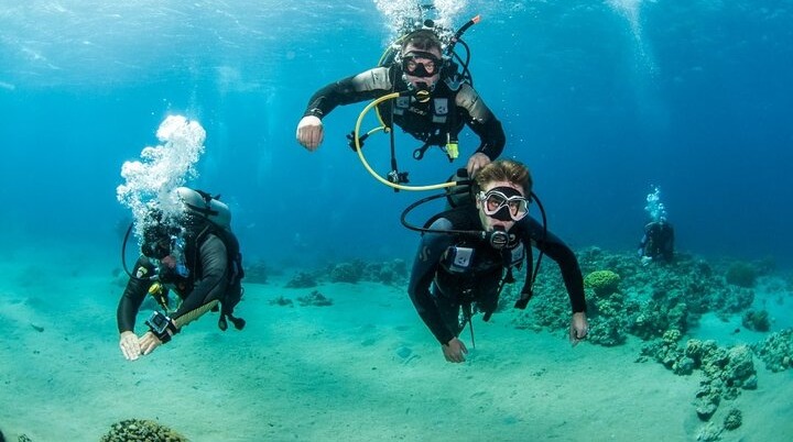 Why You Should Scuba Dive in Tiran and Sanafir Island