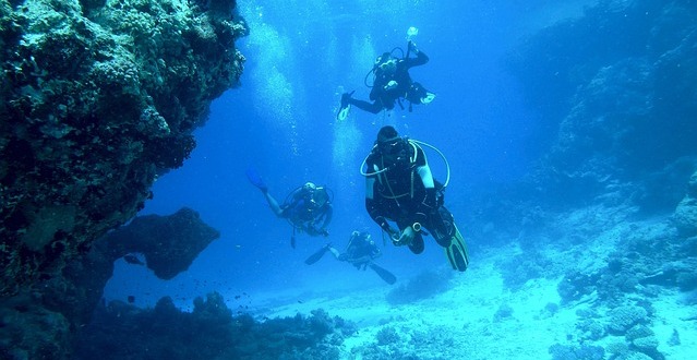 Why should you choose Hurghada in the Red Sea as your destination for scuba diving?