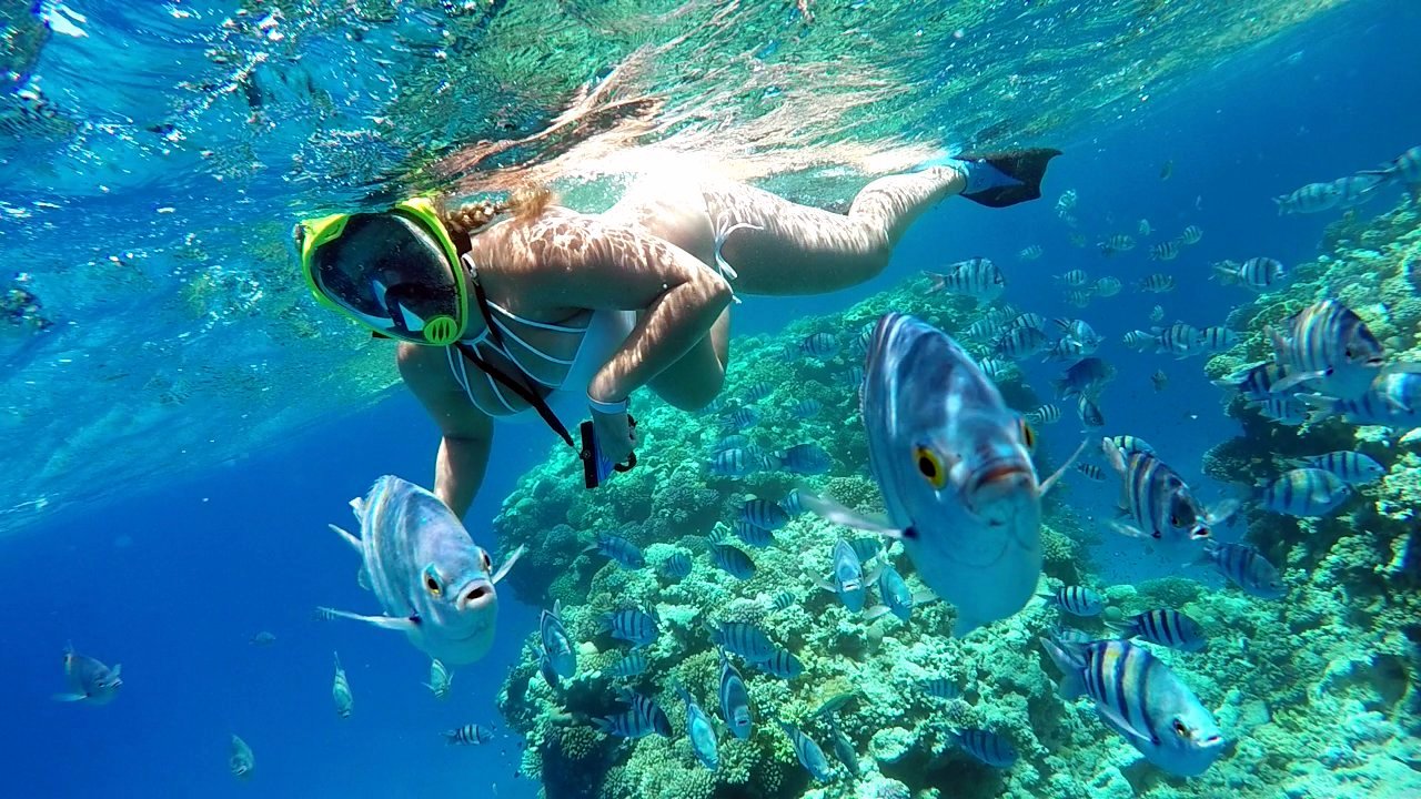 The Ultimate Guide to Snorkeling in Dahab: Discover the Underwater Paradise