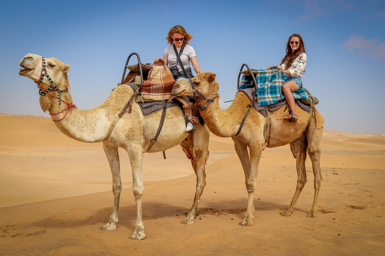 camel-jukadi-tours.jpg