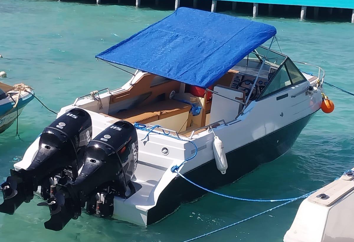 Hurghada Dolphin Speedboat Tour: Private Red Sea Adventure with Snorkeling