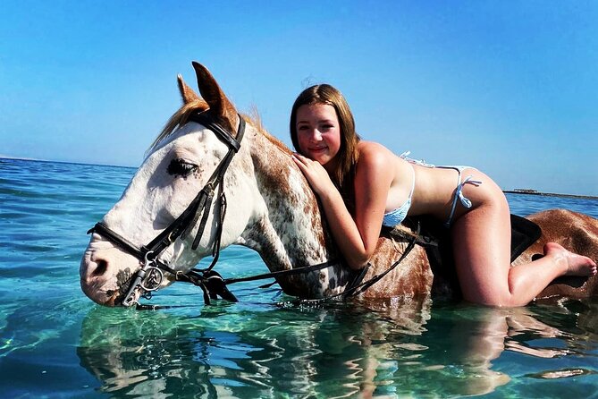 Hurghada Horse Riding Adventure: Desert Ride & Swimming with Horses 3 hour