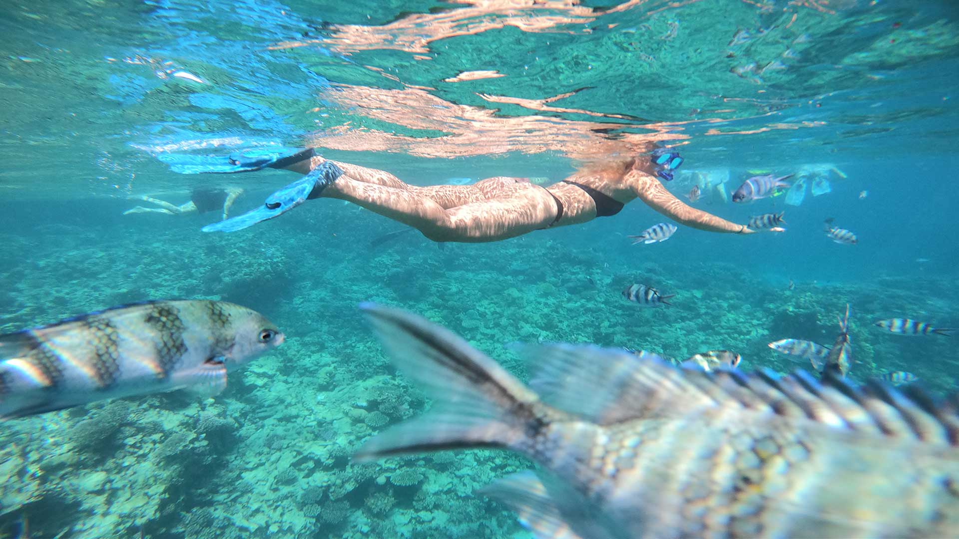 The best ways to snorkeling in the sea