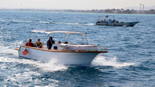 El Gouna: 2 Hour Glass Bottom Boat Trip at Dolphin House