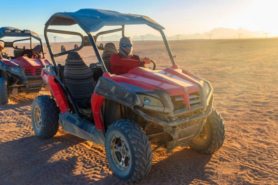 Sharm El Sheikh: Sunset Buggy Safari and Camel Tour with BBQ & Show
