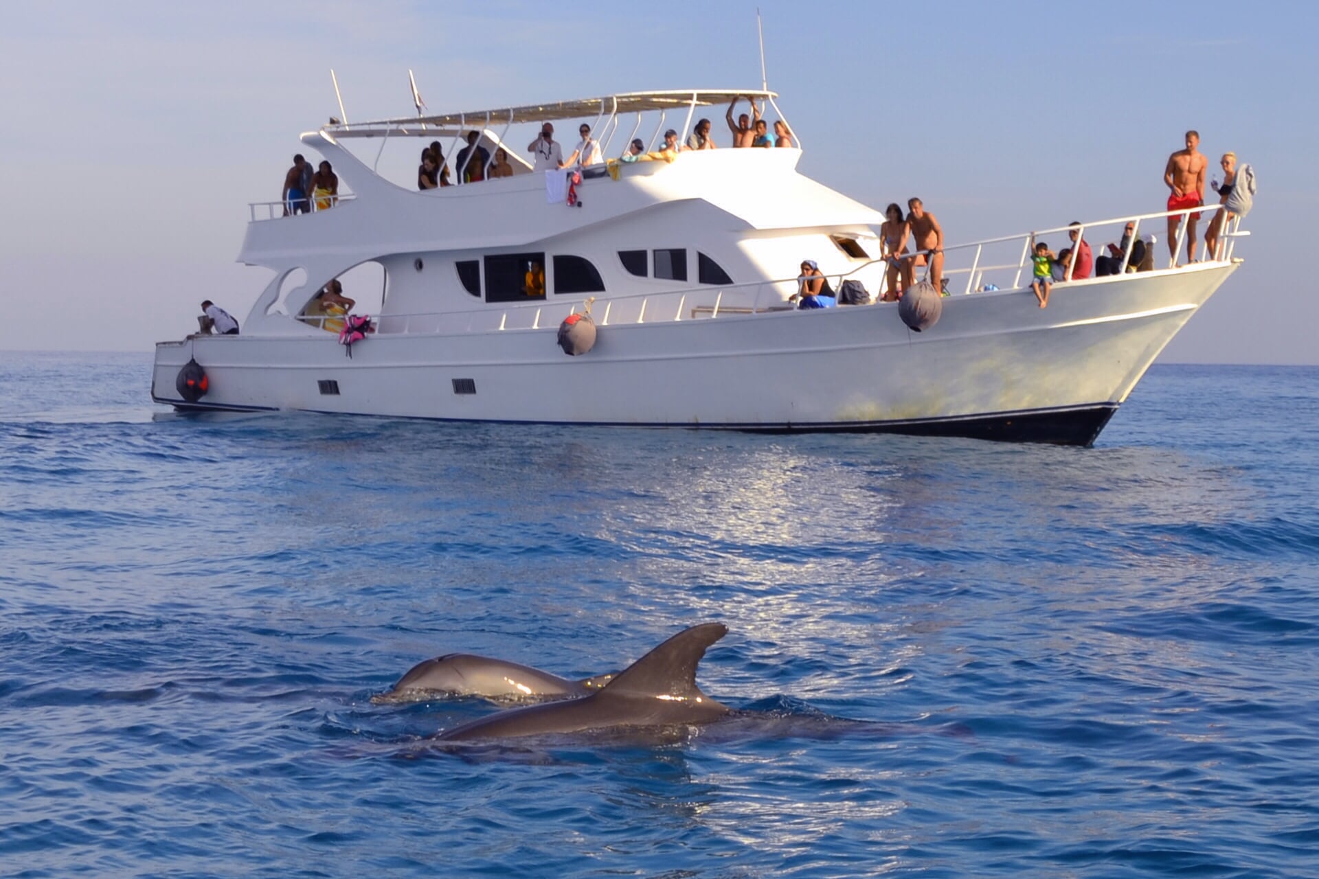 Hurghada: Yacht Trip 3 Islands Dolphin Snorkeling with Lunch