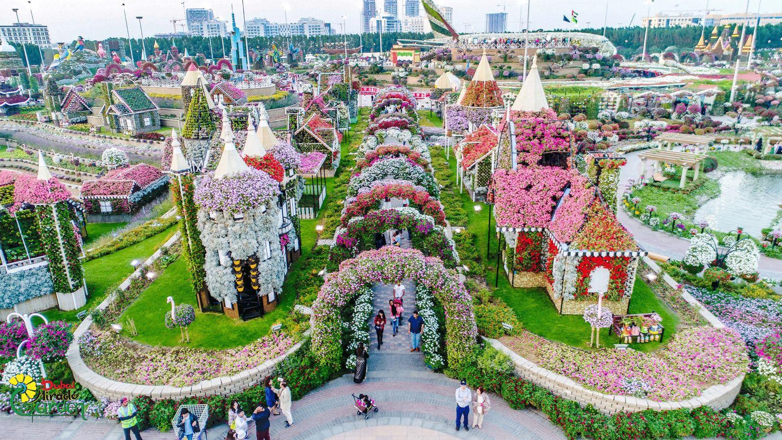 Dubai: Miracle Garden Floral Tour with Private Transfers